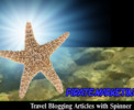 Thumbnail Travel Blog Articles With Spinner Thumbnail Travel Blog Articles With Spinner