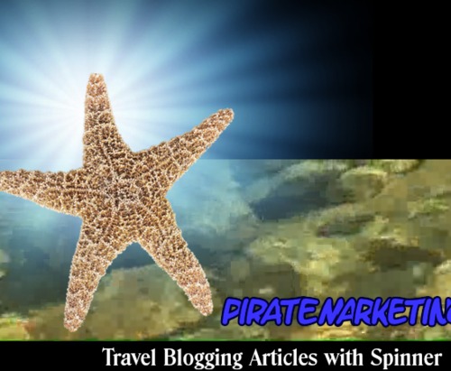 Product picture Travel Blog Articles With Spinner